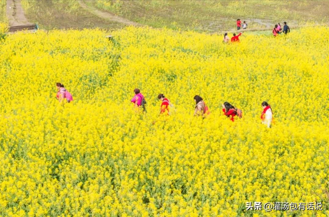 如何正确消费做到不浪费,生活中最省钱的消费方法