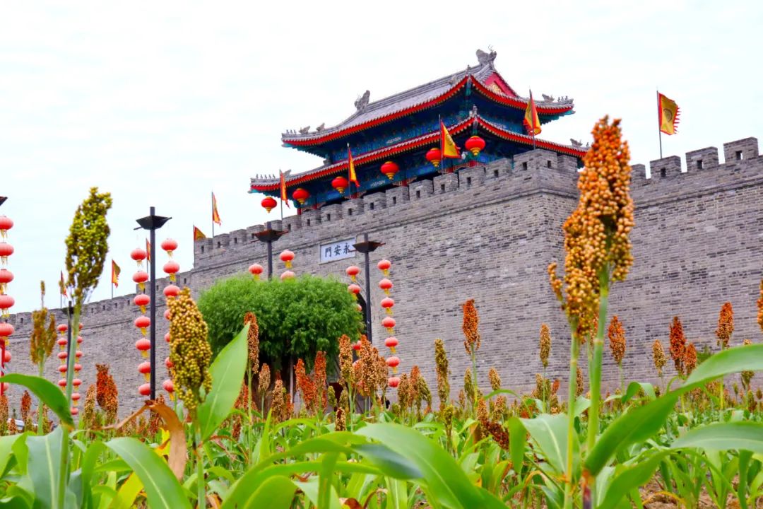 打卡不一样的潍坊，这座宝藏城市有颜又有料！