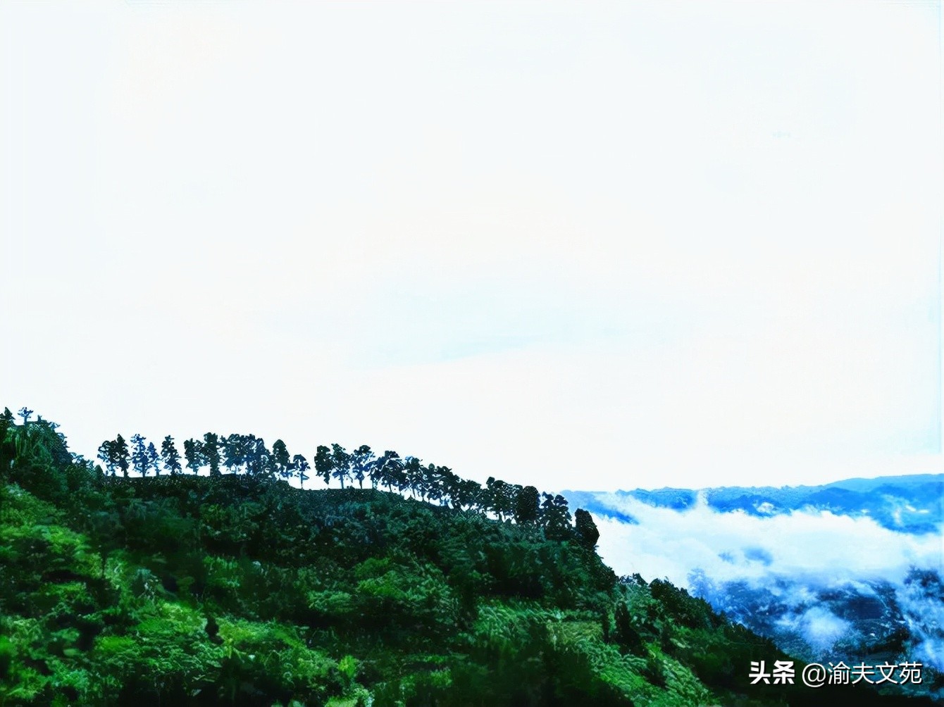 「散文随笔」兄长一般的达明老师