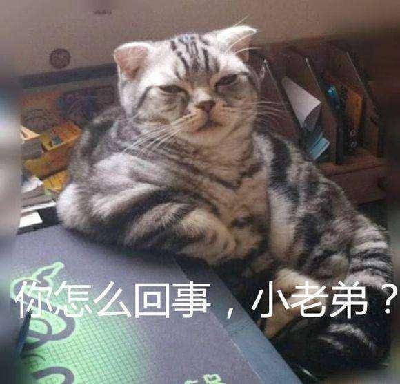 欧洲中世纪以胖为美,蒙娜丽莎的发际线