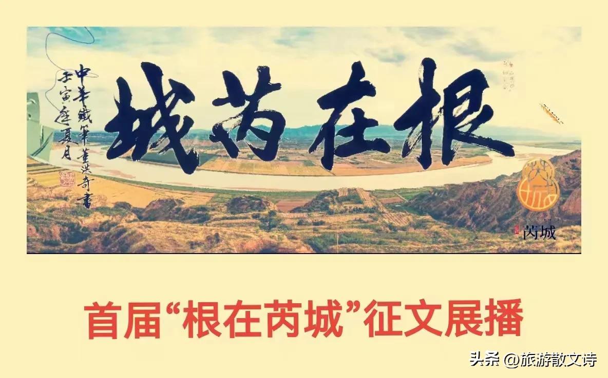 【根在芮城•春节特辑】春晓||为娘送行正月里的追思会