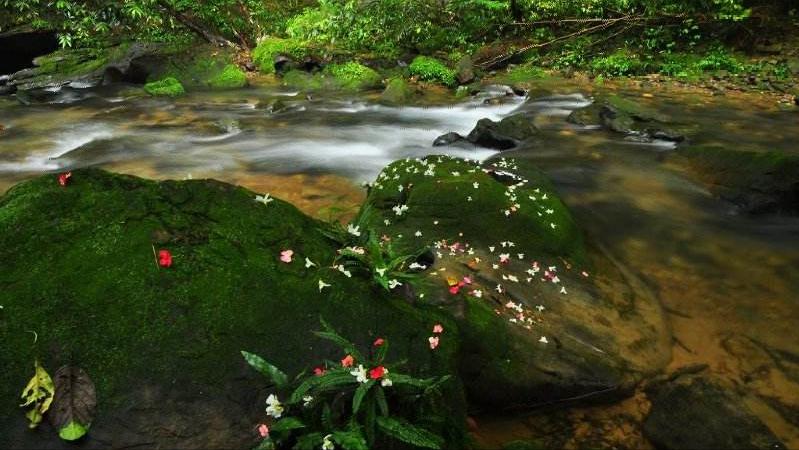 8首浪漫桃花诗词,三十六首经典桃花诗词