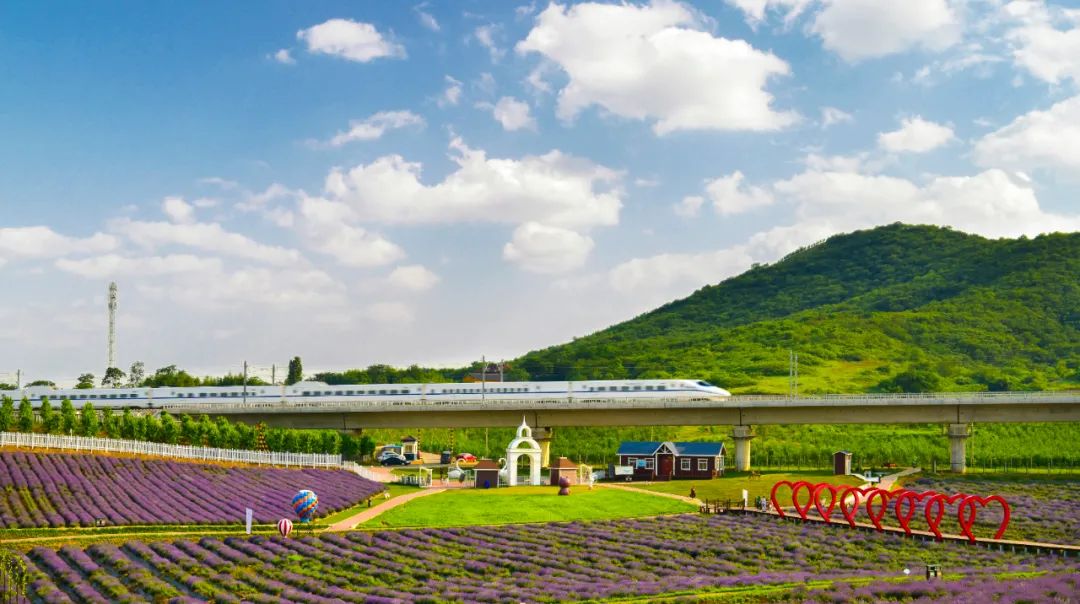 合肥市十年发展规划,合肥十年的发展