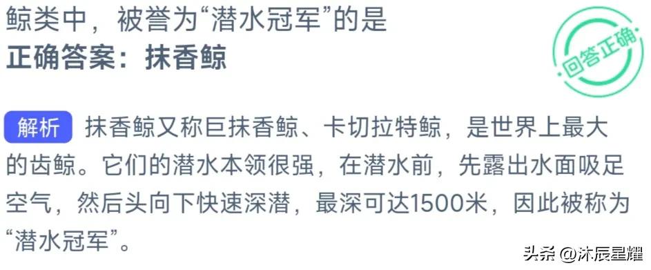 支付宝解除限制安全答题答案,支付宝全民消防学习答题考试答案