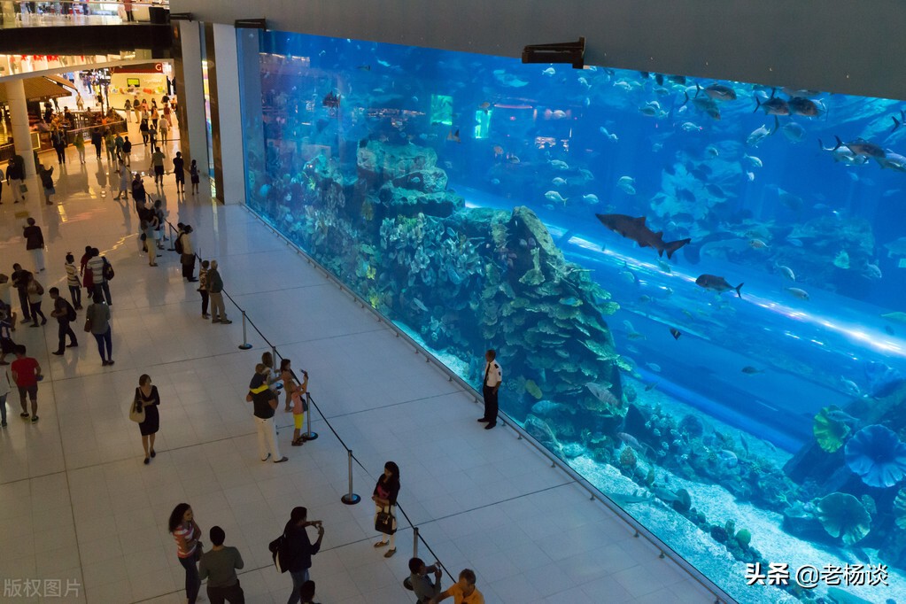 记录我的海外迪拜生活 (2017年迪拜旅行见闻)