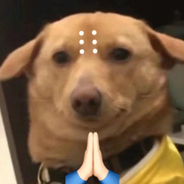 brain不是脑子的意思吗,brain是啥意思呀