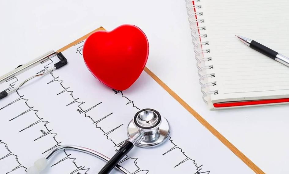 心跳快慢跟寿命有直接关系吗,心跳快慢竟与寿命长短有关吗