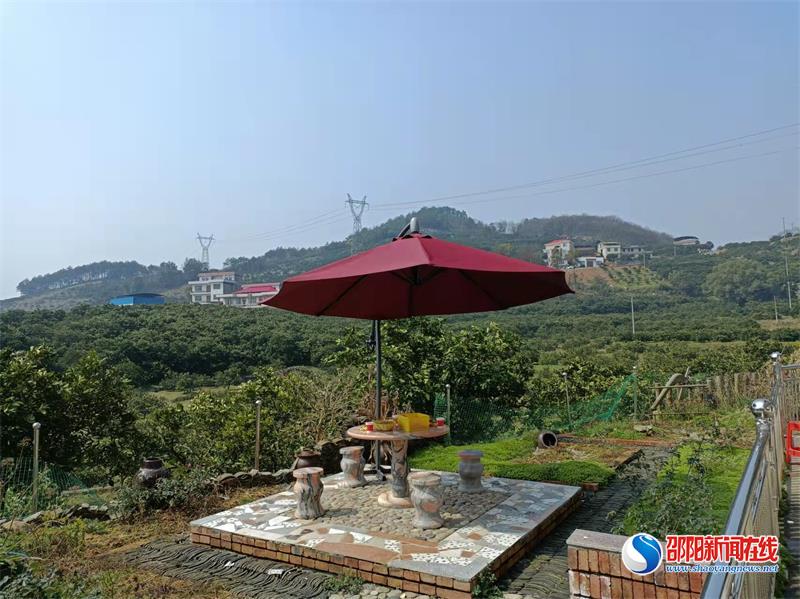 新宁龙丰果业,新宁县月汉村脐橙文化