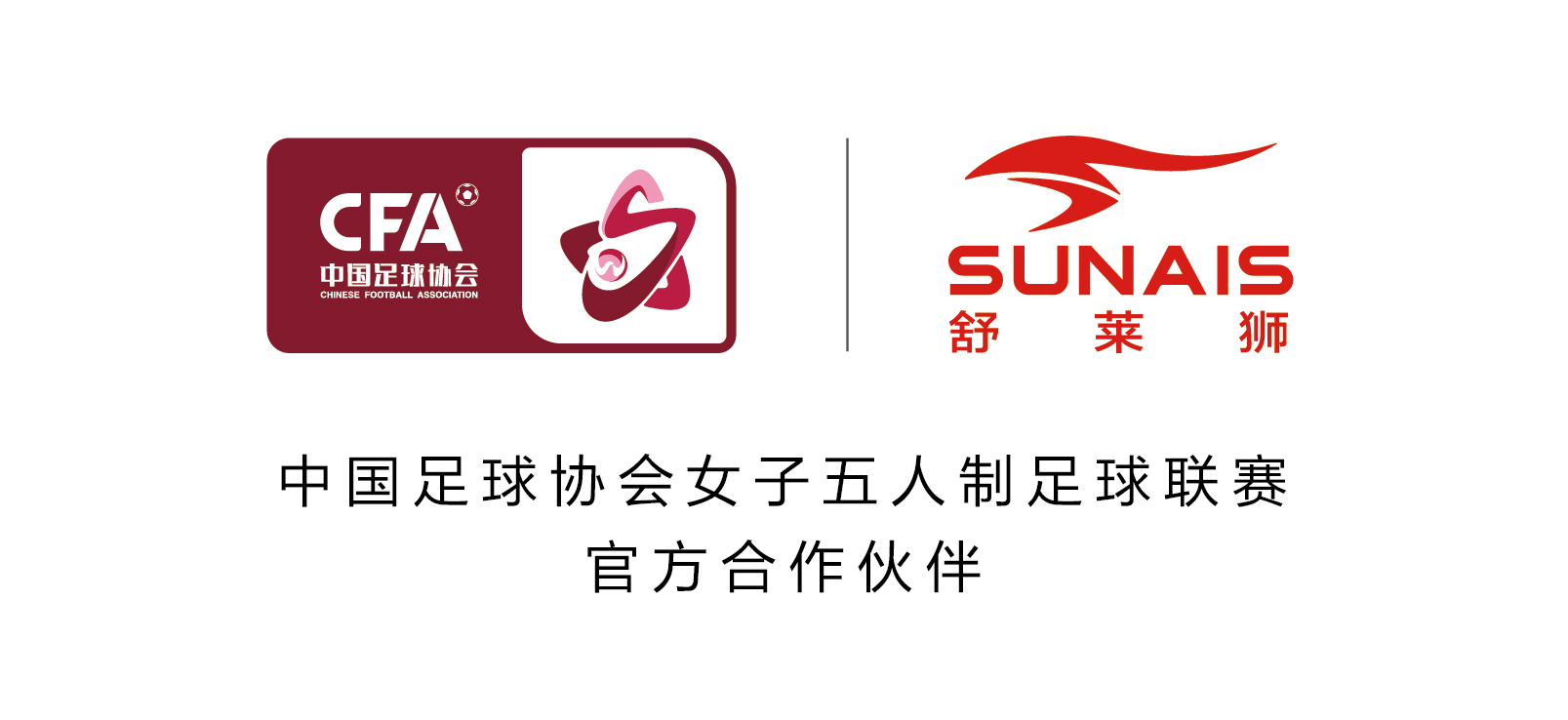 舒莱狮辽宁足协,中国足协杯签约舒莱狮体育