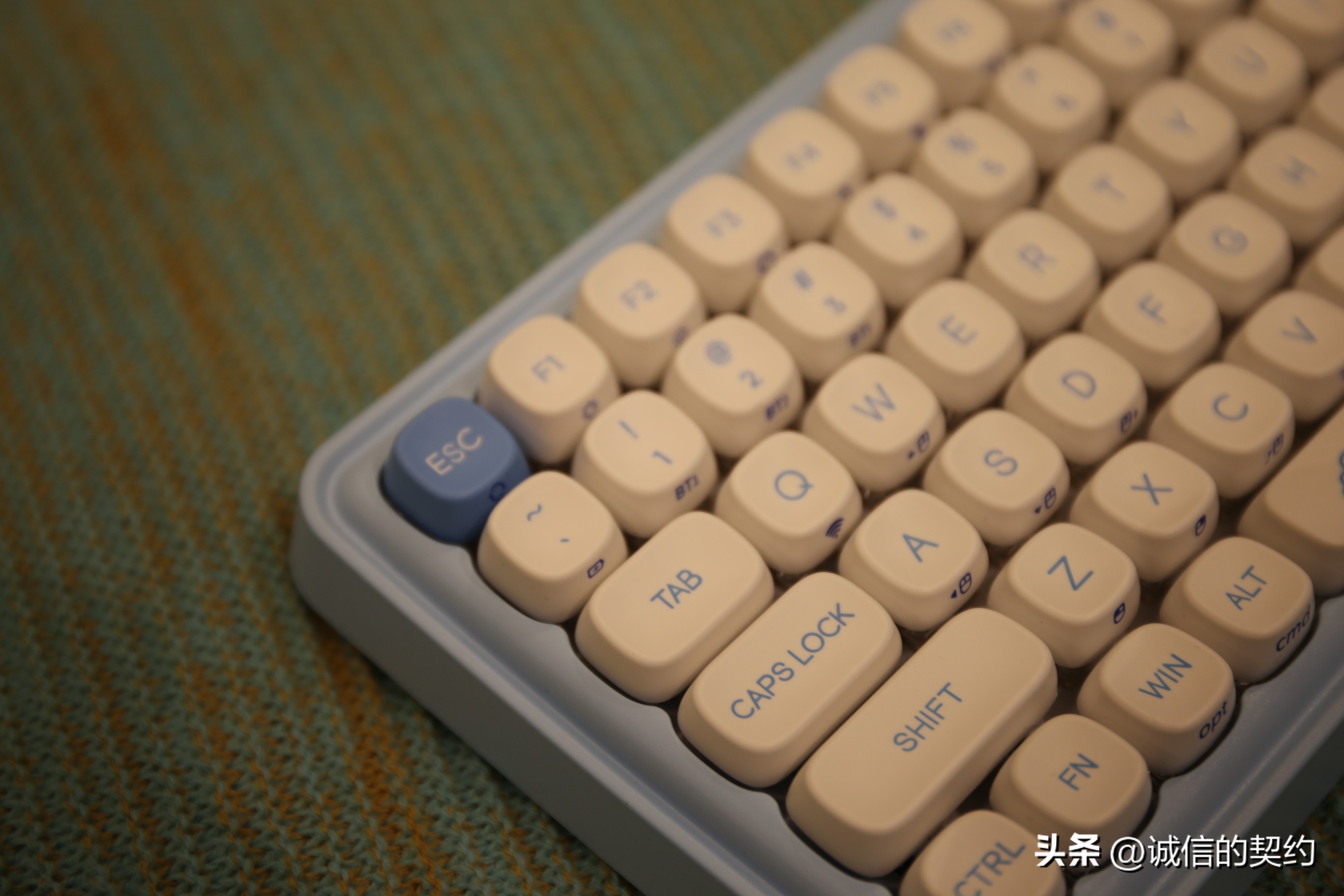 达尔优玉桂狗怎么样,达尔优玉桂狗键盘灯光怎么调节