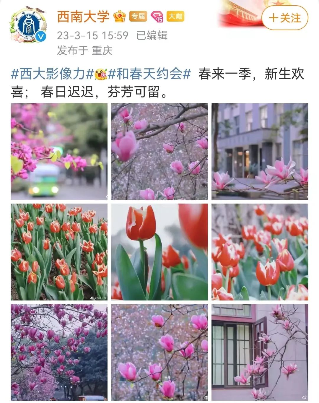 最容易考公务员的211大学,中国最火热的211