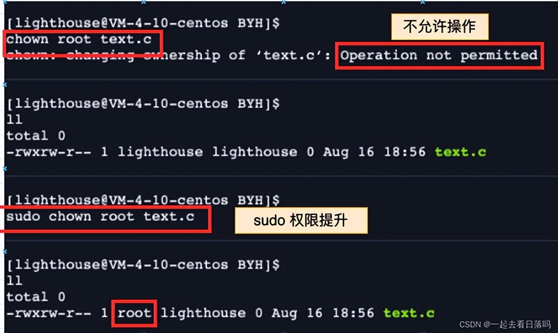 linux系统怎么使用shell命令,linux配置shell执行权限