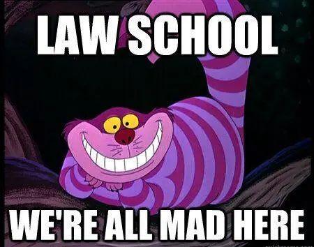 最新十大天坑,十大天坑专业之首