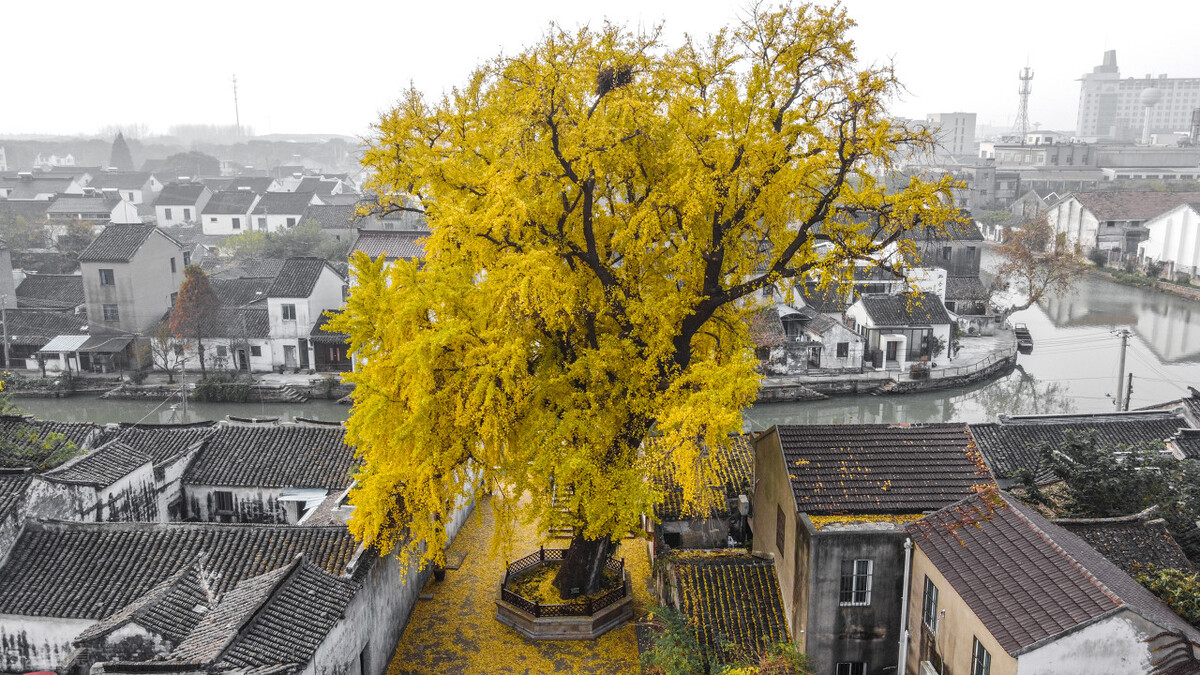 秋天的苏州必去的景点,苏州秋天小众景点推荐
