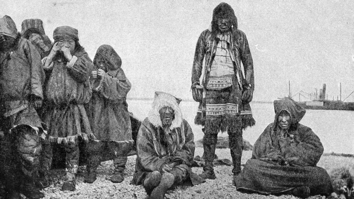 哈士奇是最晚被驯化的狗,哈士奇被误认为咬人的狗