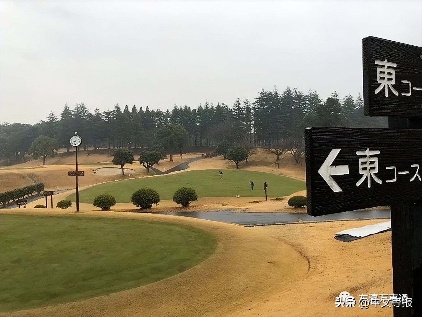 杆扫风雨送虎归，洞开飞雪迎兔到——记日本辽宁总商会高球队巡礼