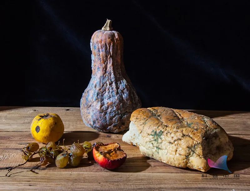 平时怎样预防肠胃病变,消除肠胃病最快的方法