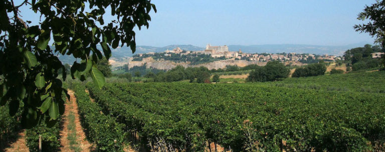 果香浓郁的半甜白葡萄酒,意大利撒丁岛最好的白葡萄酒