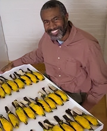 复旦大学2023生命科学学院,复旦大学生命科学学院夏令营通知