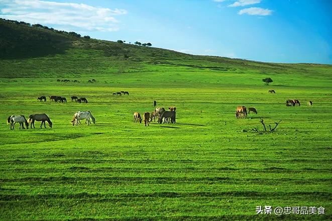 日落晚霞映照九曲十八弯,日落黄昏的九曲十八弯
