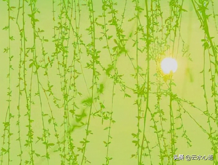 描写风的诗句古诗大全集,盘点写风诗词中的经典诗词