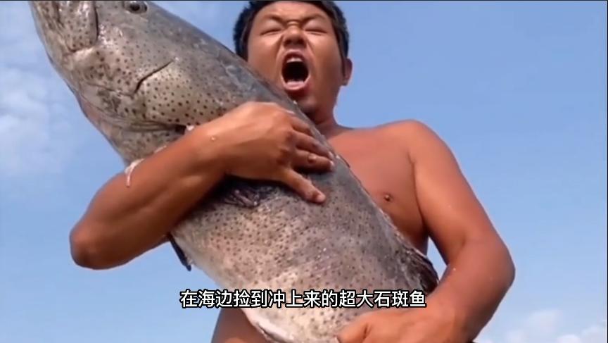 无穷小亮科普账号,无穷小亮推荐的科普博主