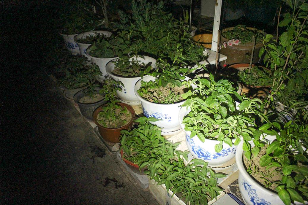 鍌查浄seeker4鎵嬬數浣撻獙,鍌查浄seeker2鎵嬬數璇勬祴