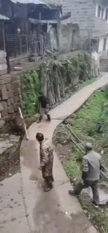 寝室洁厕灵经常被偷,气愤下买了瓶101换掉,隔天隔壁301发来贺信