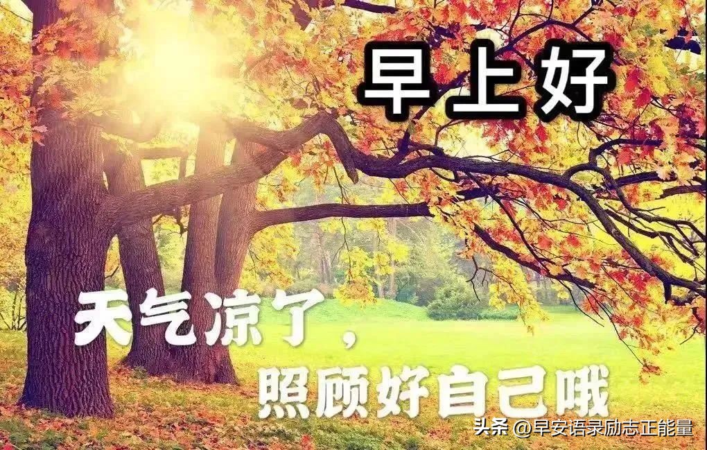 微信早上好正能量经典短语录,微信早晨发圈正能量的句子