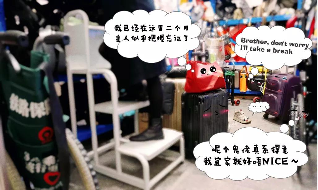 丢失几个月的物品找回方法,如何找回遗失物品