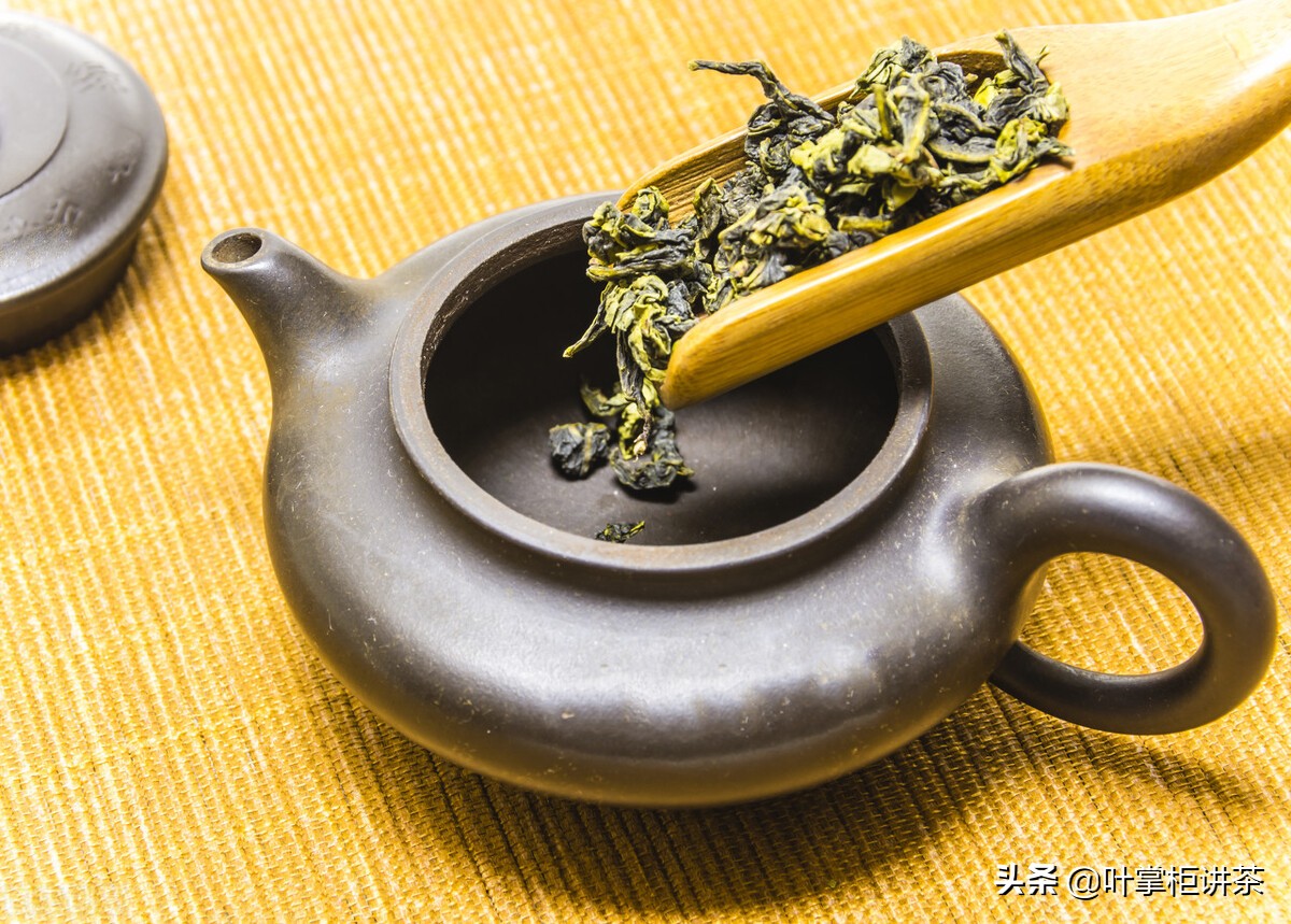 铁观音属于茶种是红茶还是绿茶呢,铁观音属于什么茶绿茶还是红茶