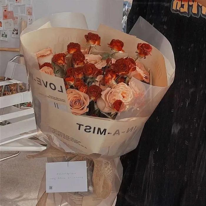 求婚送什么颜色的玫瑰花比较合适,玫瑰花的外形特点和颜色的特点