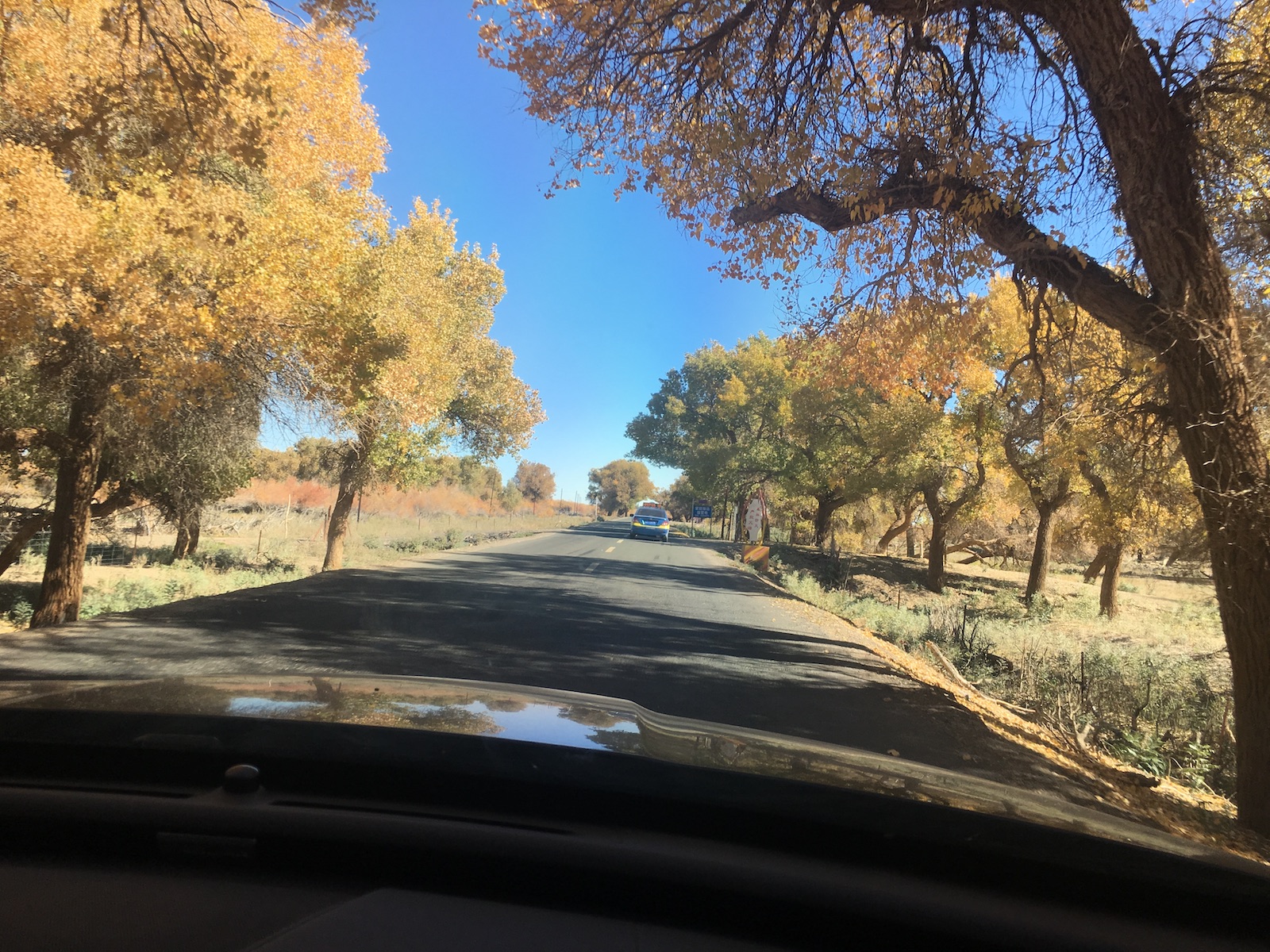 北京自驾额济纳胡杨林十天攻略,从北京到额济纳胡杨林线路