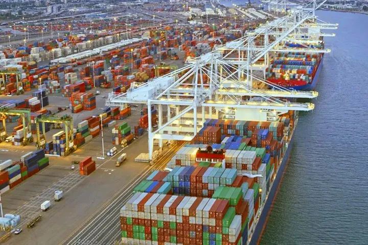 新西兰电视台推出4款经典夹克大比拼节目，还是羽绒服最理想