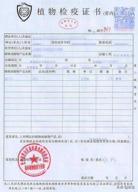 绿化苗木验收小妙招,苗木进场验收需注意哪些