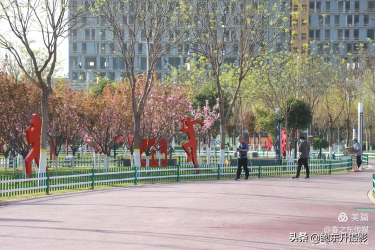 清晨的公园静态美和动态美,运城体育公园夜间灯光