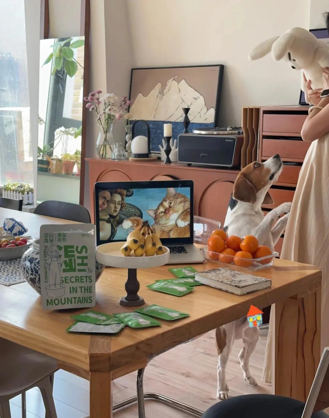 河南女主晒出130㎡新家：全屋没有一丝俗气，堪称装修教科书