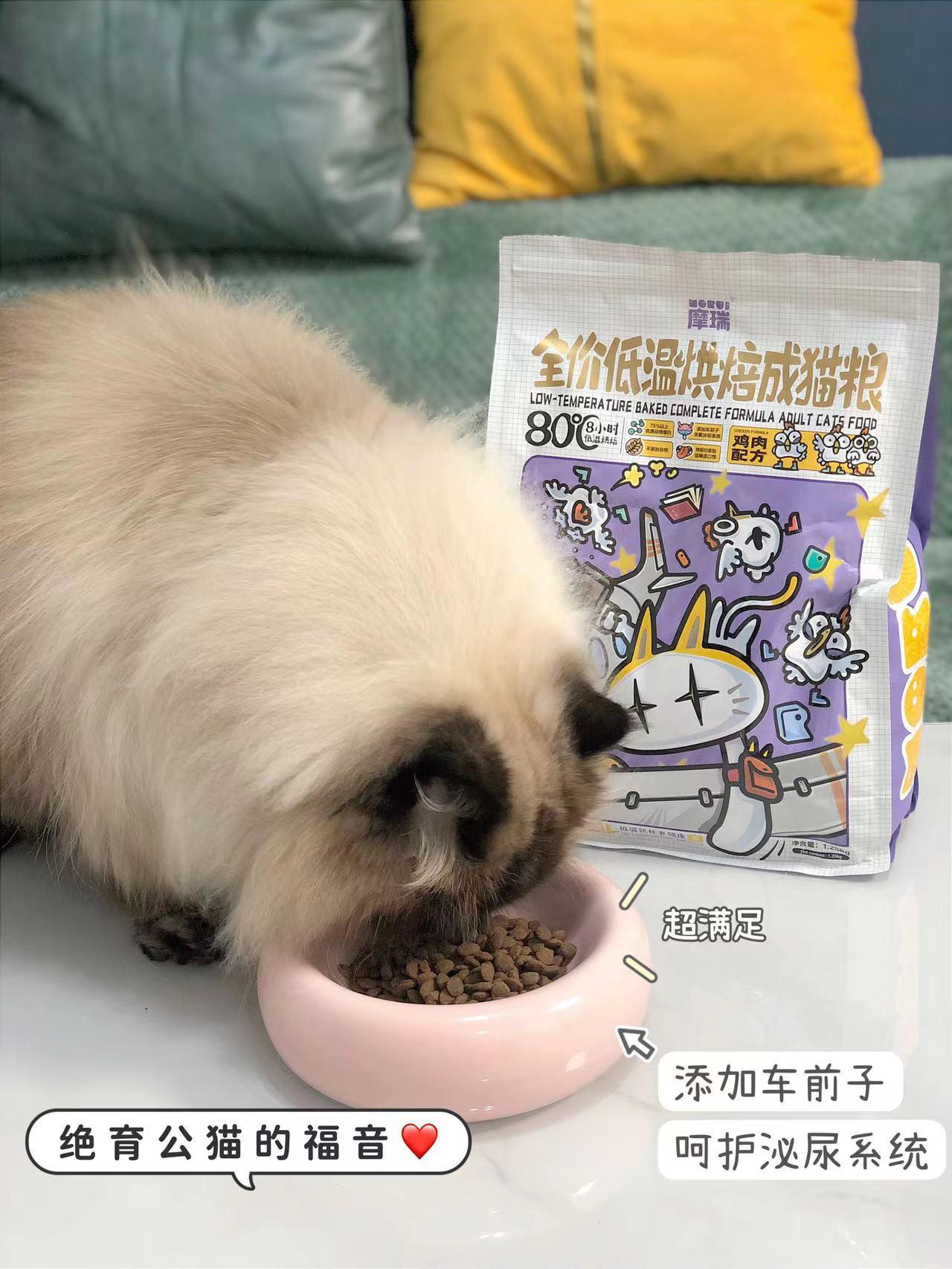 摩瑞科普-新手铲屎官集合啦