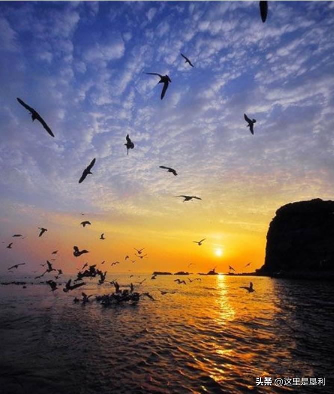 山东9个5a免费景区名单2020,山东免费4a景点排名一览表