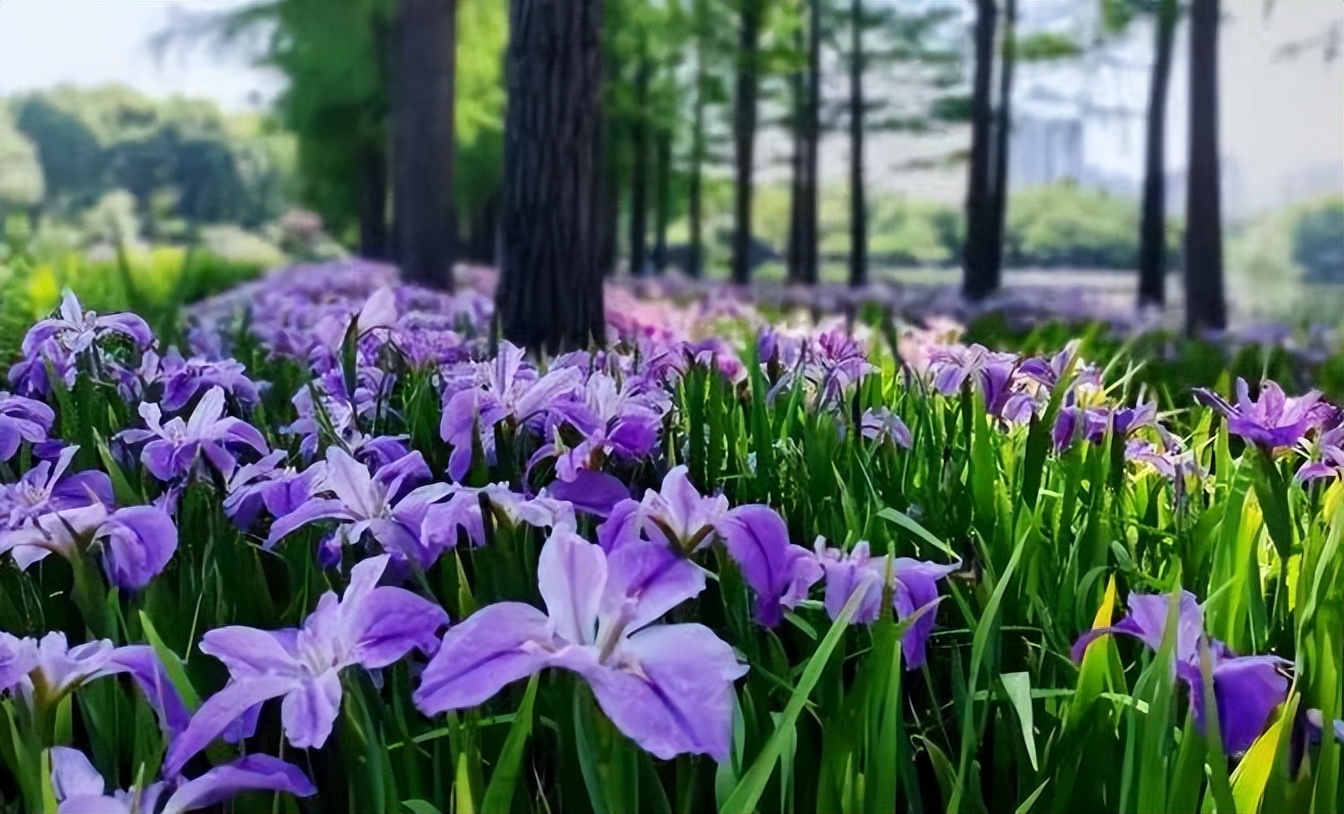 五一的常州,常州的五一