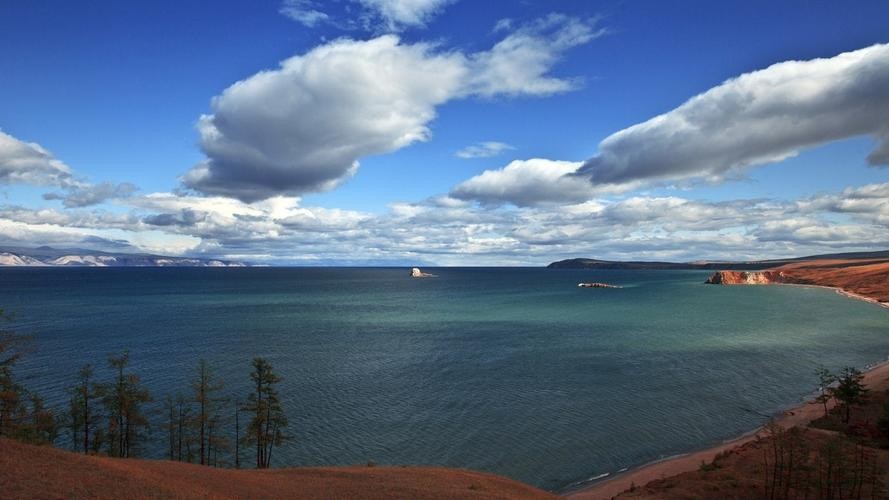 人类有能力复活恐龙吗,人类拥有自愈能力吗