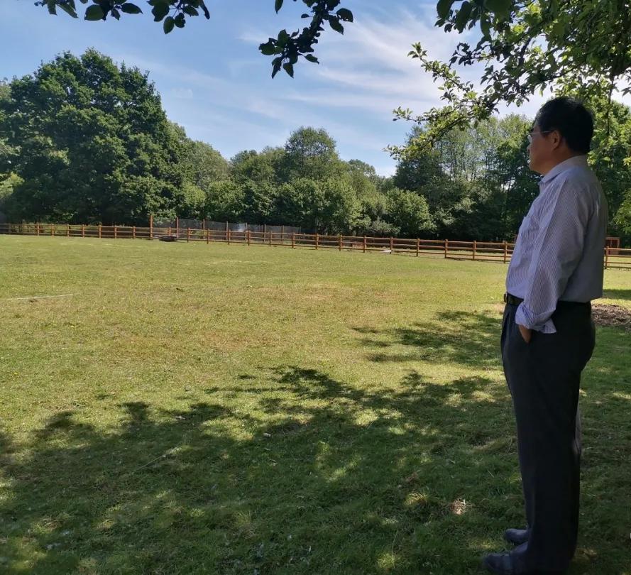 投资移民可以投资英国本土企业吗？