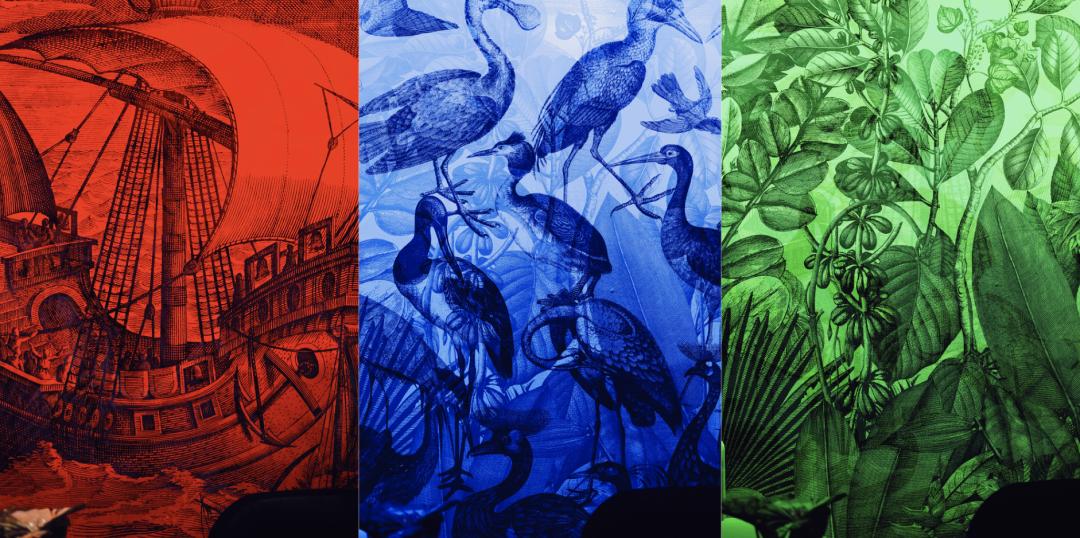 这世界是个巨大的游乐场,这世界就是巨大的游乐场