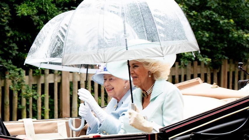 卡米拉气质逆袭不输戴安娜,卡米拉微笑回应凯特