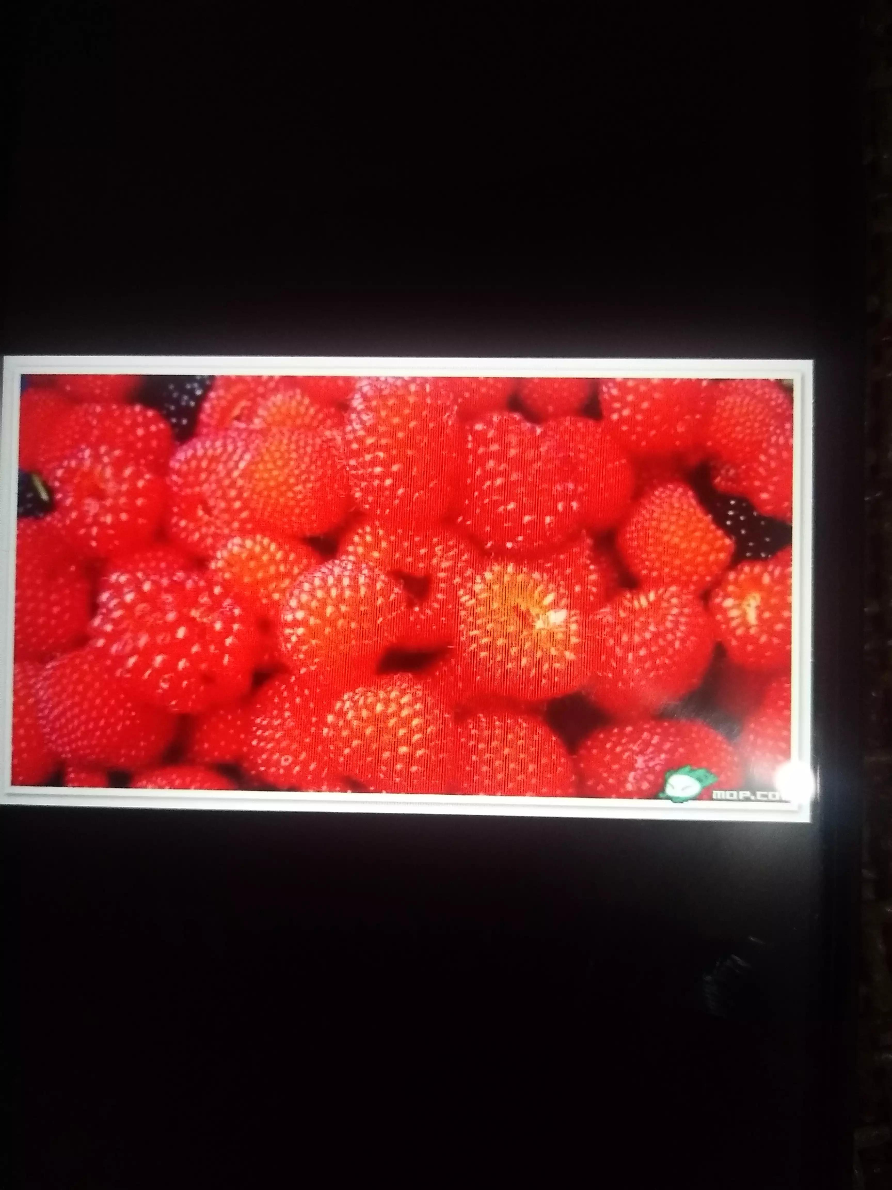 广西人的童年野果,广西人的童年有多快乐