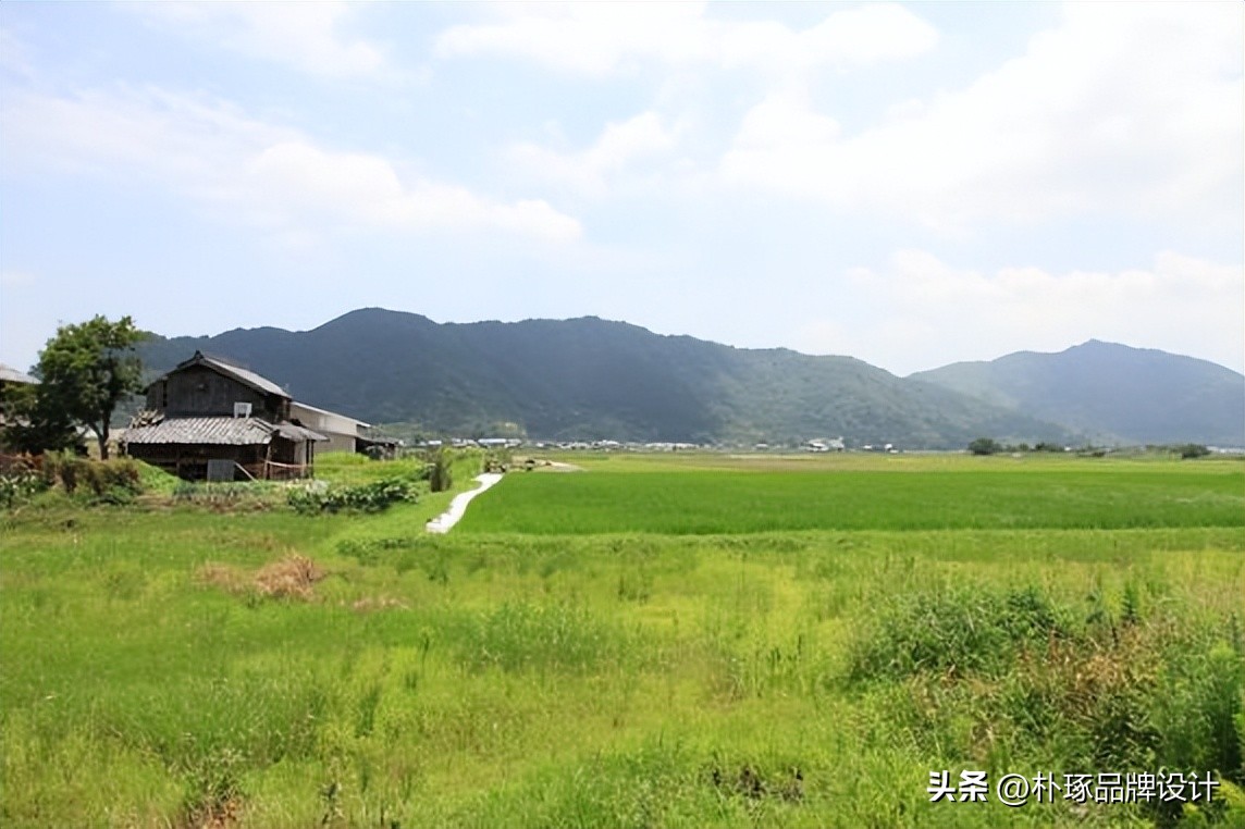 不得不服日本人性化包装细节设计,日本人的包装设计到底有多奇葩