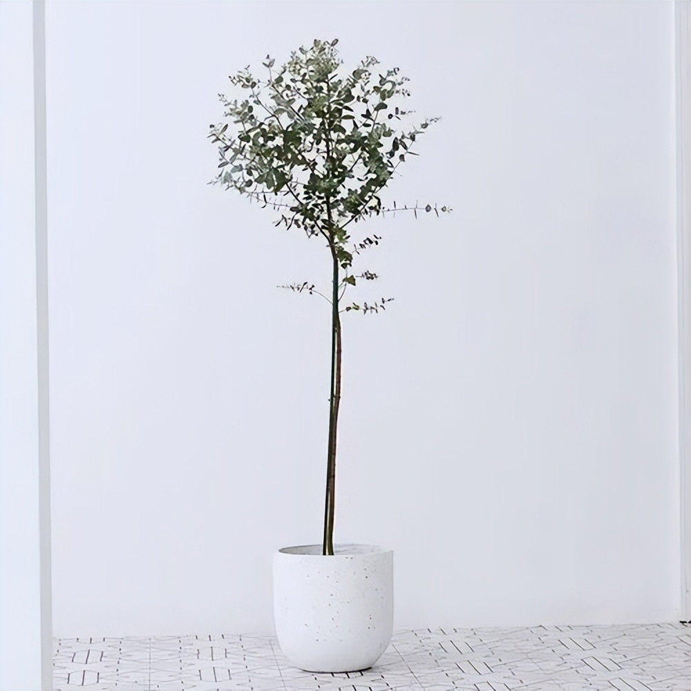 北仑疫情还回得了家吗,北仑疫情出不去了么