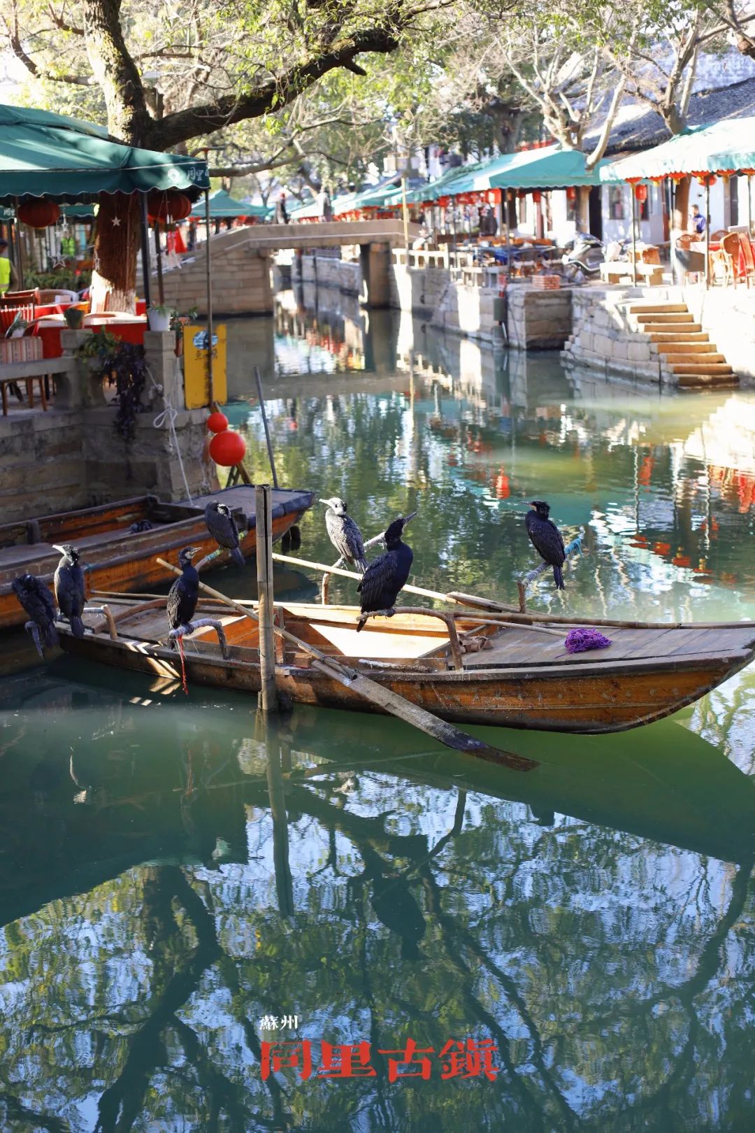 去苏州旅游哪里好玩一日游,苏州江南古镇