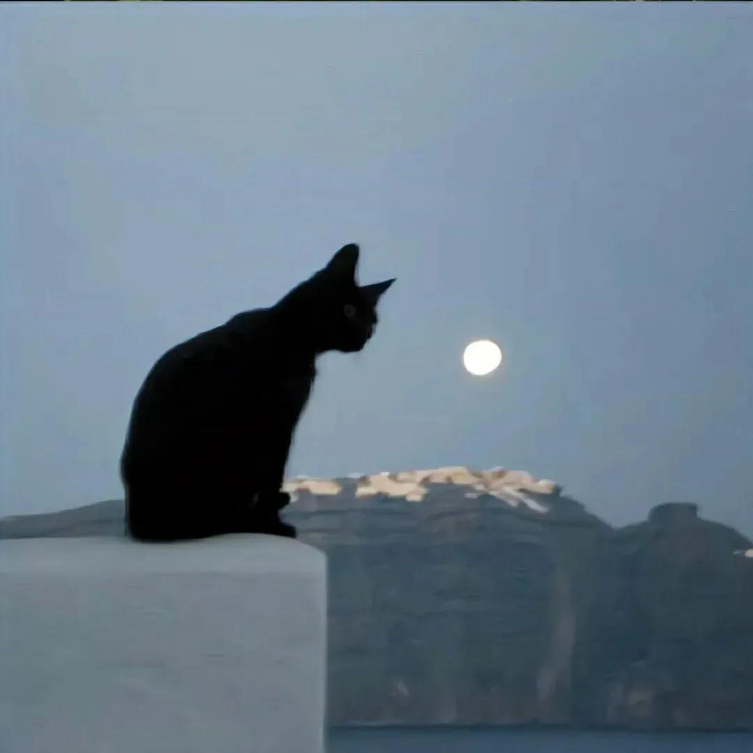 小众背景图高级感朋友圈,氛围感朋友圈背景图高级感