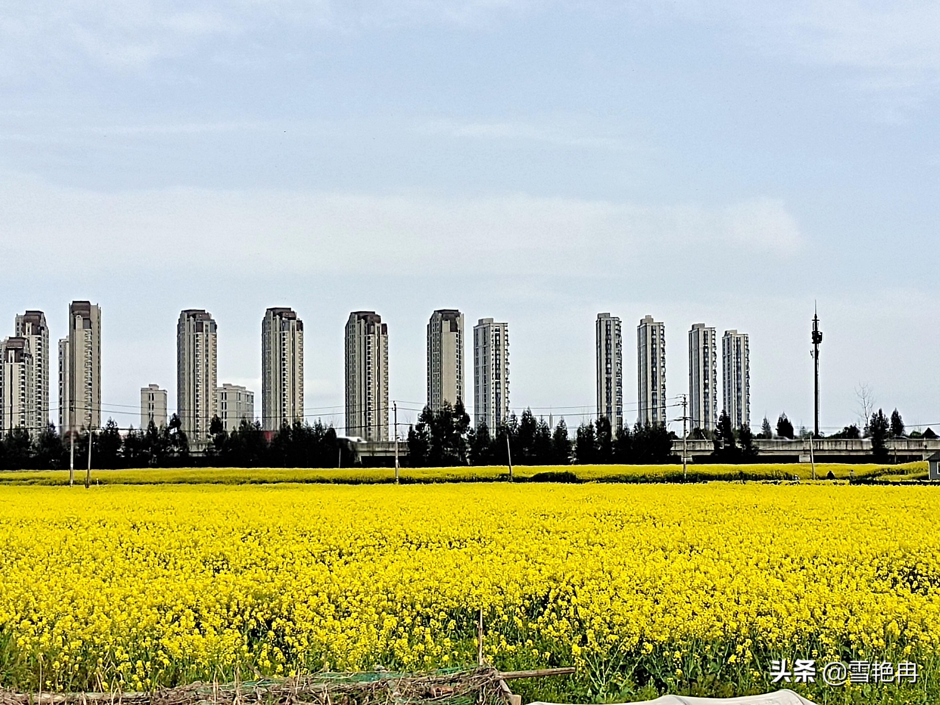 浙江温州之旅,浙江乐清旅行